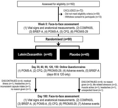The Effects of Lutein and Zeaxanthin Supplementation on Cognitive Function in Adults With Self-Reported Mild Cognitive Complaints: A Randomized, Double-Blind, Placebo-Controlled Study